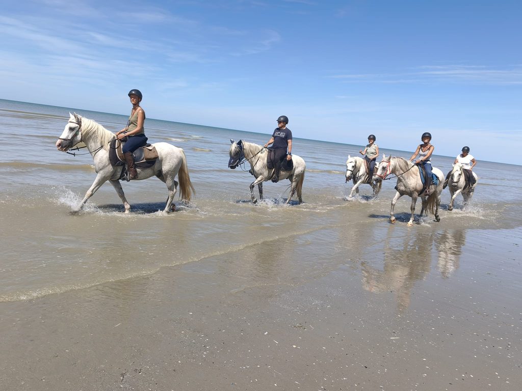 A cheval dans la baie de Somme